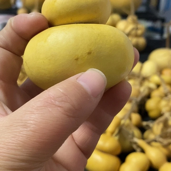@***?葫芦的颜色是蓝色的