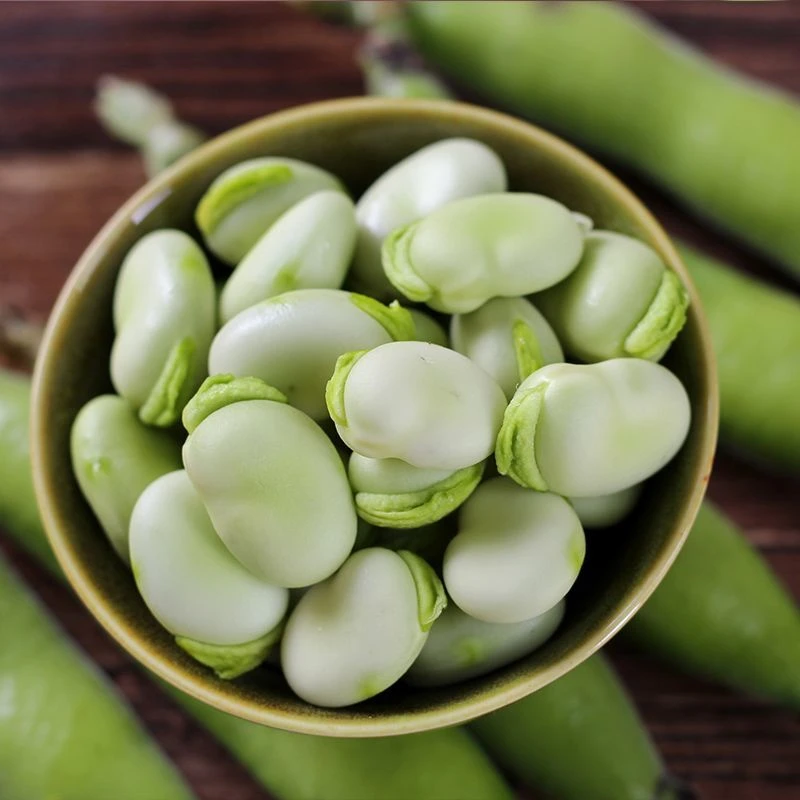【抢鲜胡豆】四川遂宁春季新鲜胡豆新鲜蔬菜
