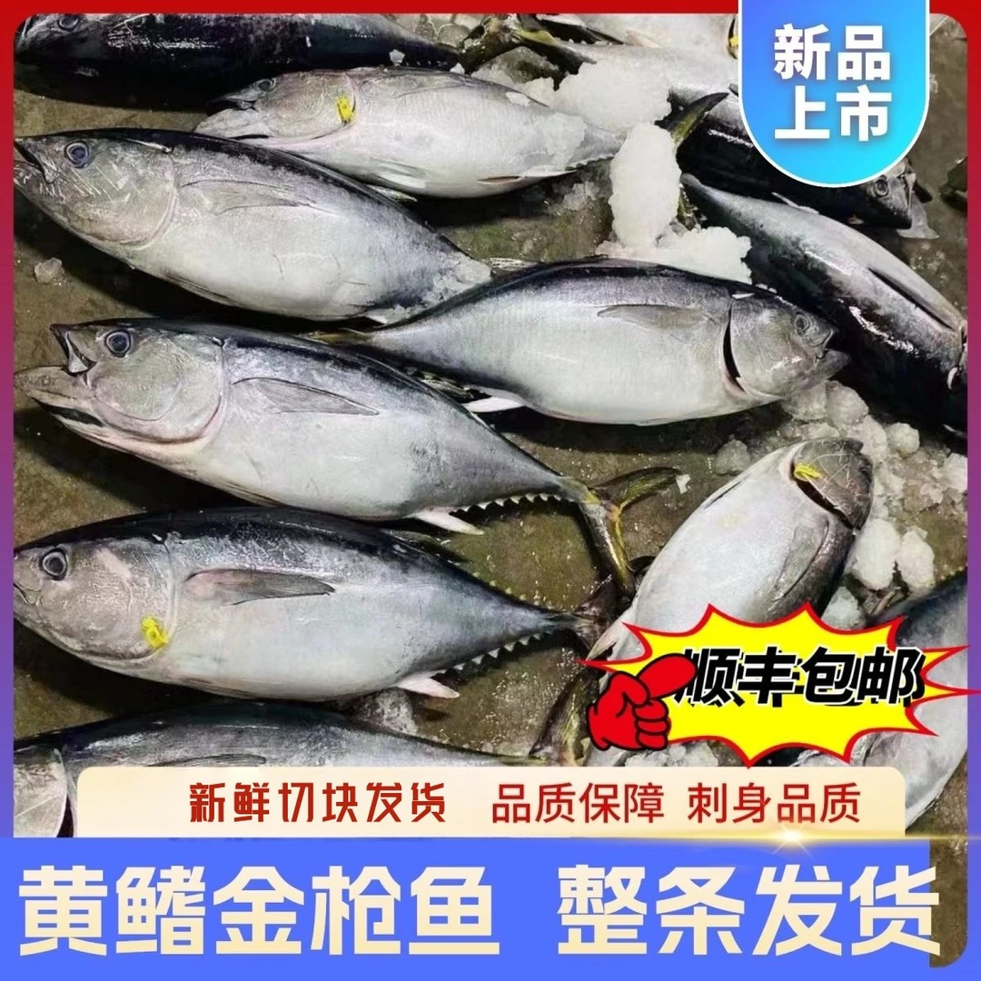 精品深海金枪鱼新鲜刺身无骨寿司料理生鱼片整条黄鳍金枪鱼三文鱼