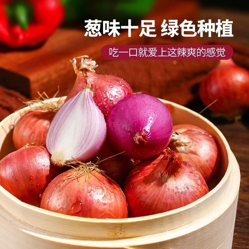 【正宗】葱头东北正宗红葱头食用四季毛葱红头葱0.5/1/2/3/5斤包邮