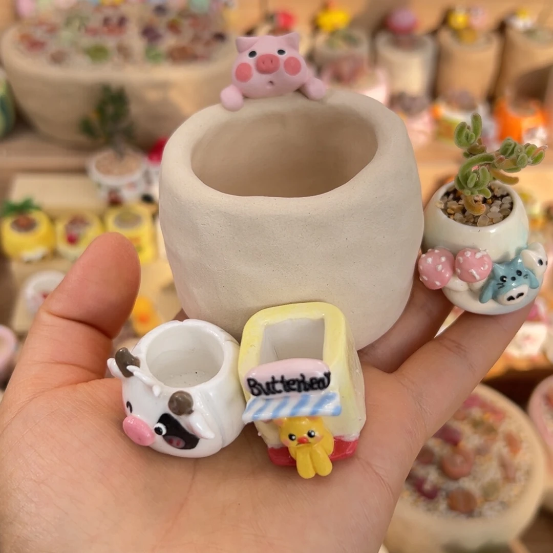 J***S多肉植物49号都要空盆