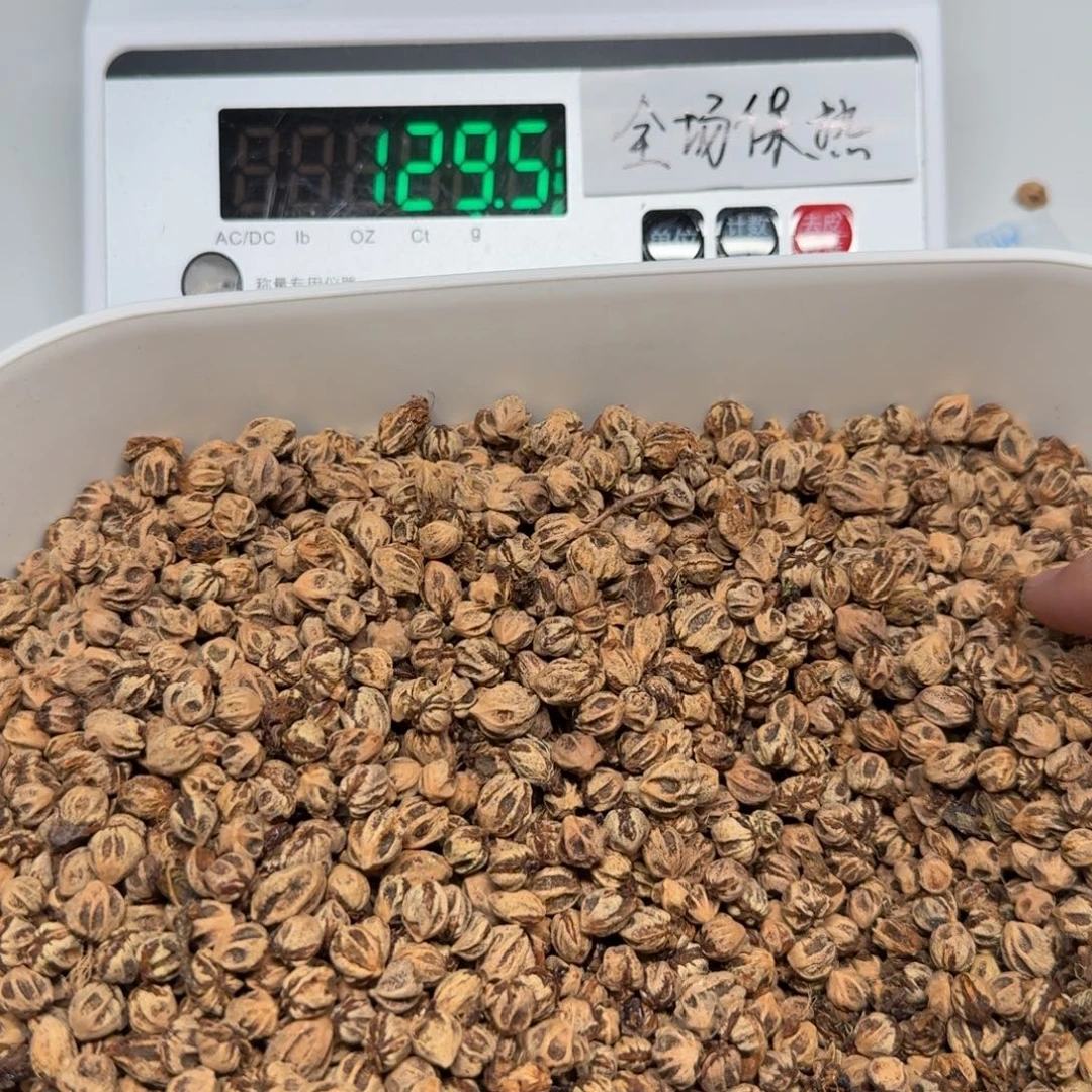 浅***饮柏香籽/百香籽吊坠