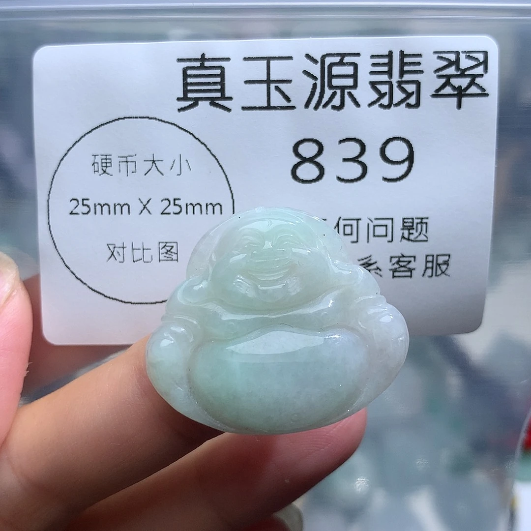 翡翠未镶嵌颈饰839。