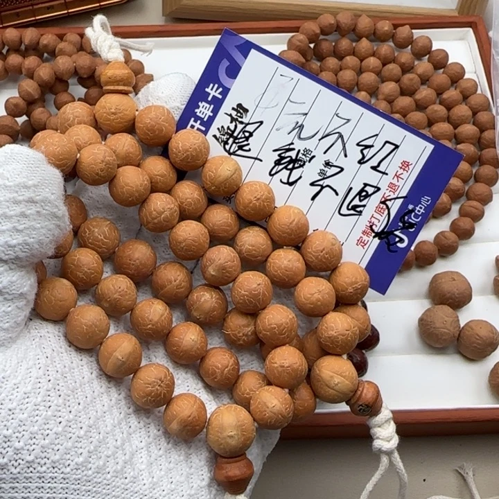 凤眼菩提吊坠朝阳籽半实心13sss➕体验款