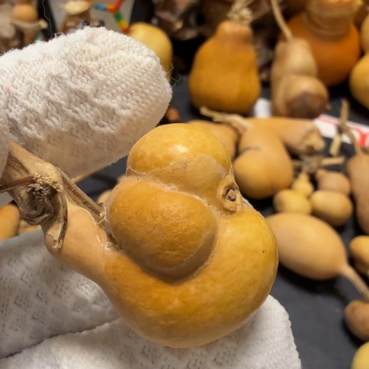 惊***蛰7666677777788888899999