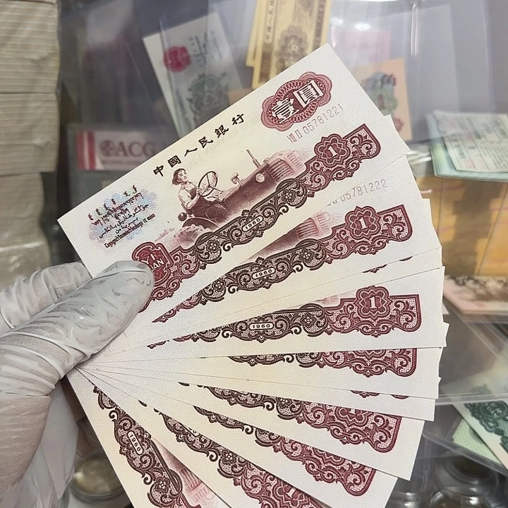 女拖拉机豹子标十一组222
