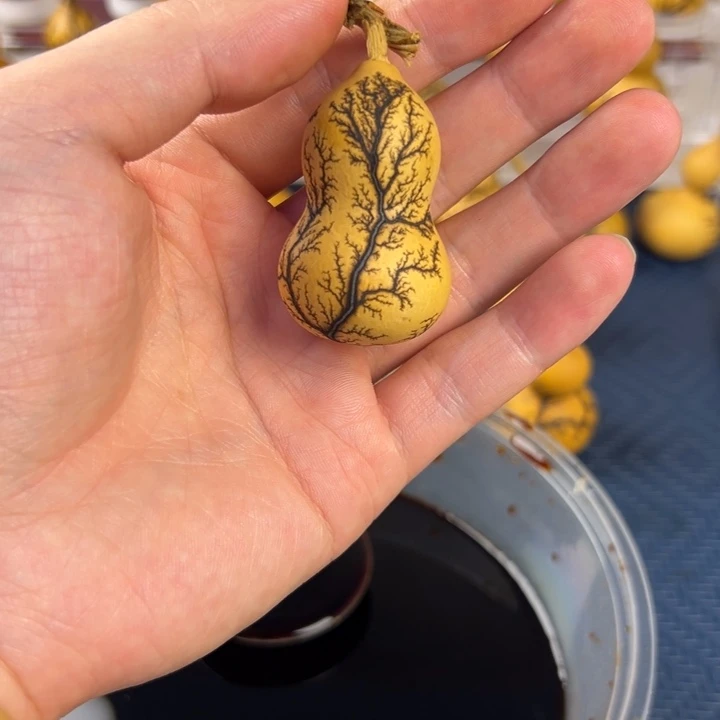 葫芦葫芦，电击葫芦，一物一拍。