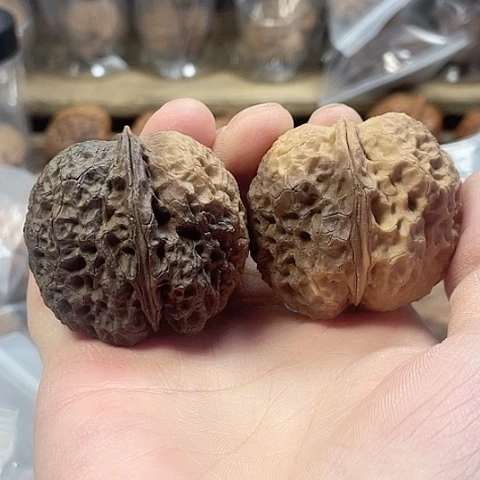 文玩核桃把件铁狮蟾彩阴44+