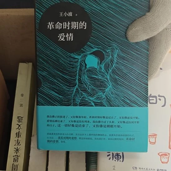 王小波革命时期的爱情（务必塑封）