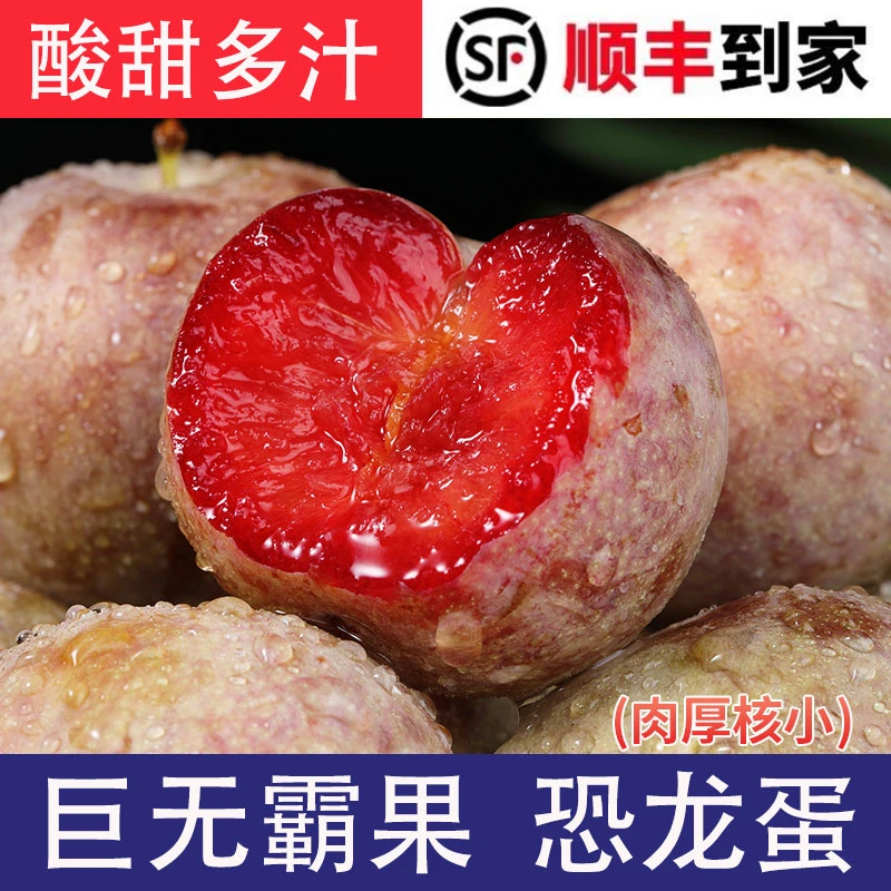 【顺丰现货】新疆恐龙蛋当季新鲜水果杏李子酸甜多汁2-5斤礼盒装