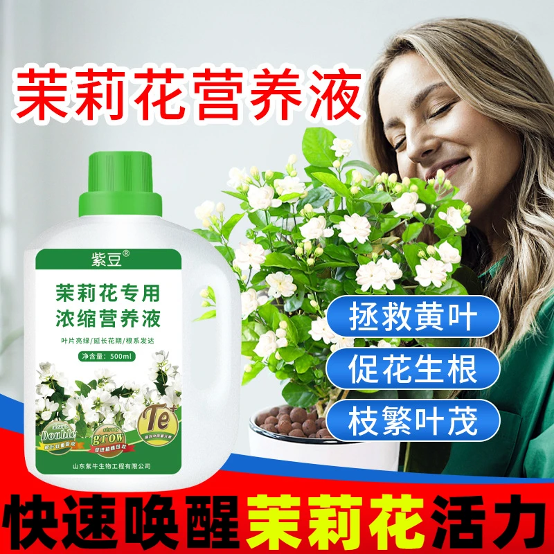 茉莉花专用浓缩型营养液花卉肥料开花促花叶面溶肥有机肥直销