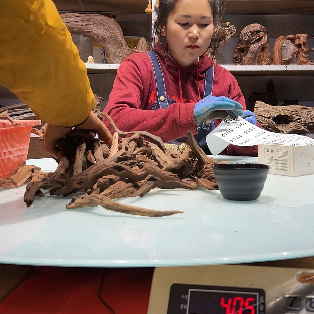 紫砂紫柚沉木夜**明1911紫柚枝条