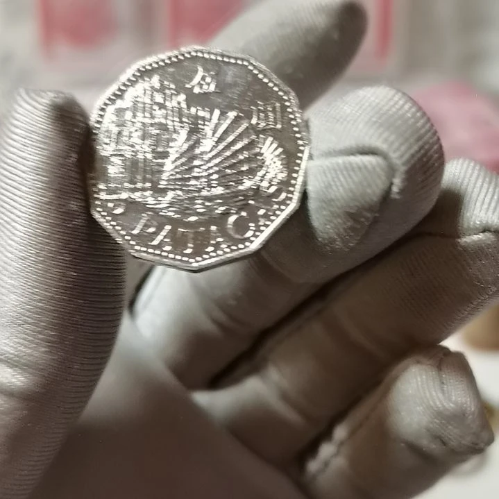 其他普通金属五元一枚