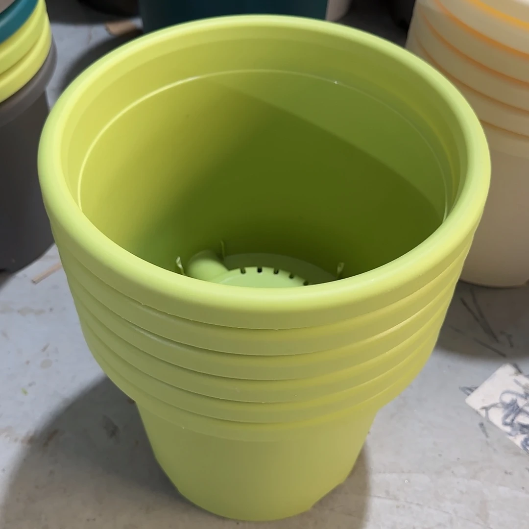 微瑕5号6个无托，果绿