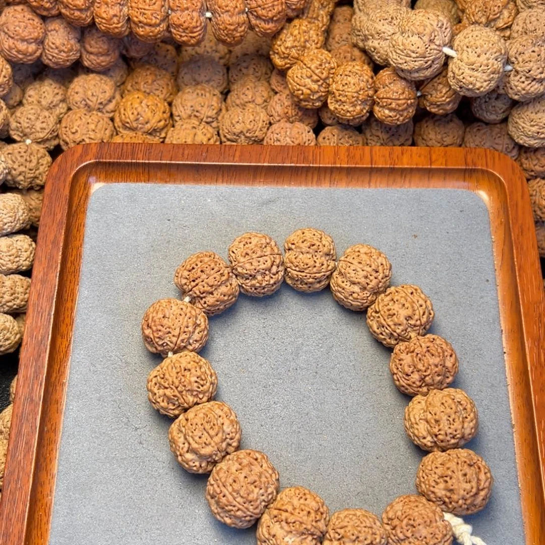 菩提5号尼泊尔大金刚六瓣24梅花蜂窝