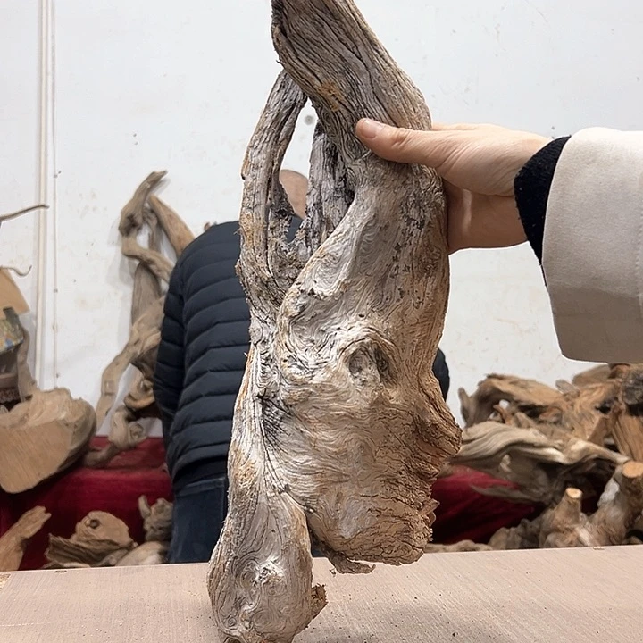 柏木品****）我们的生活也是如此吧哈哈