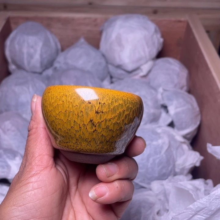 茶盏乐乐乐乐乐乐乐乐