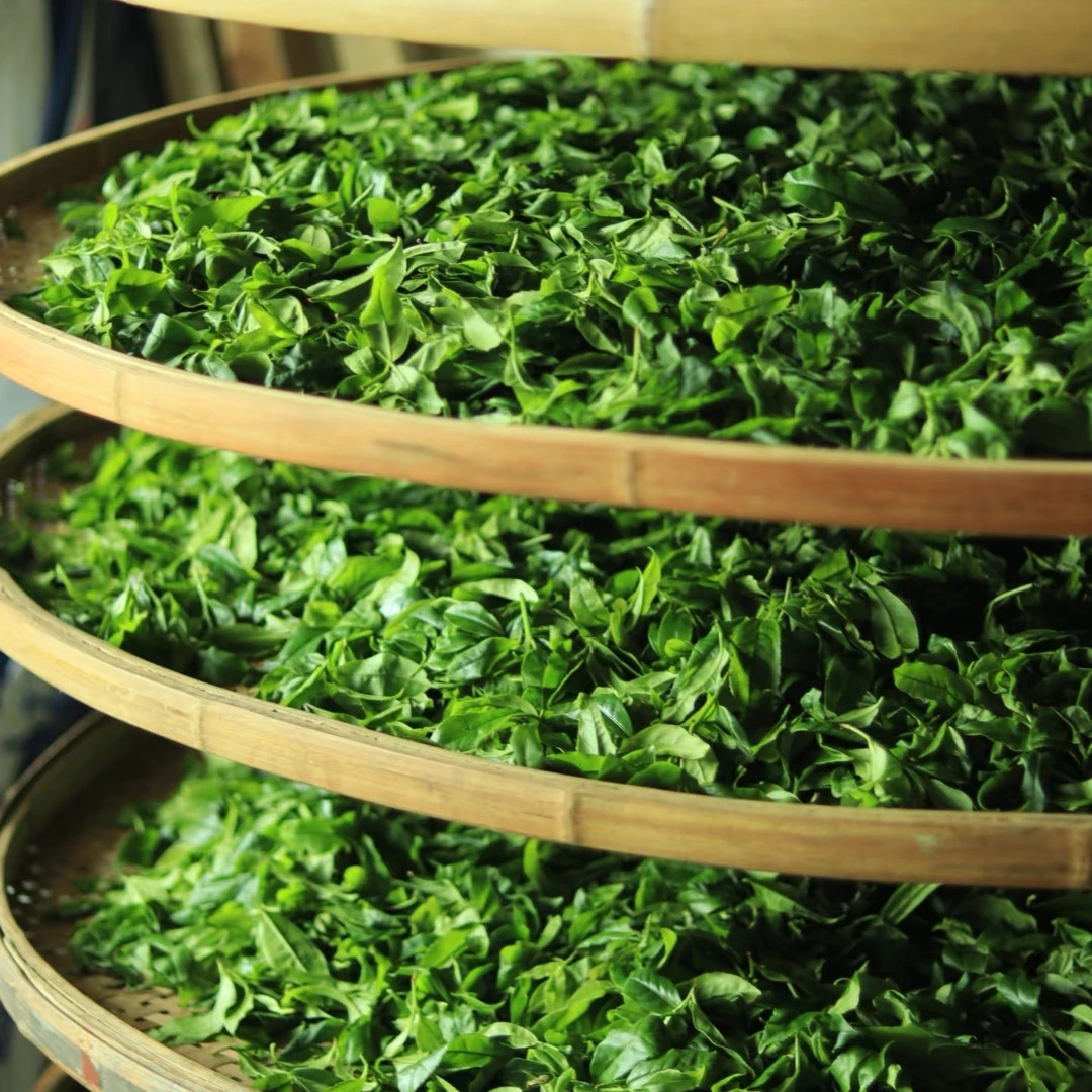 高品质茶叶组合装凤凰单丛鸭屎香宋种老仙翁单丛系列