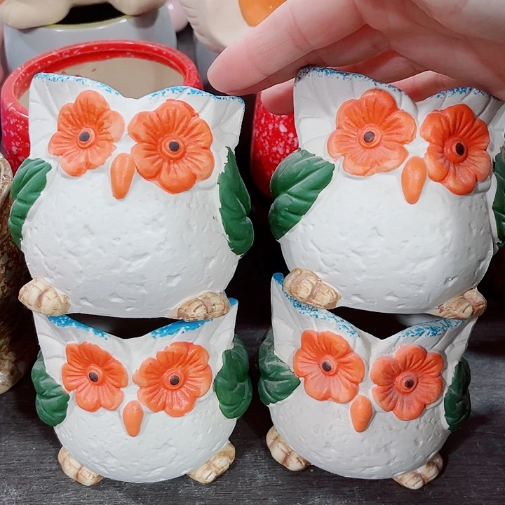 多肉花盆满10元包邮