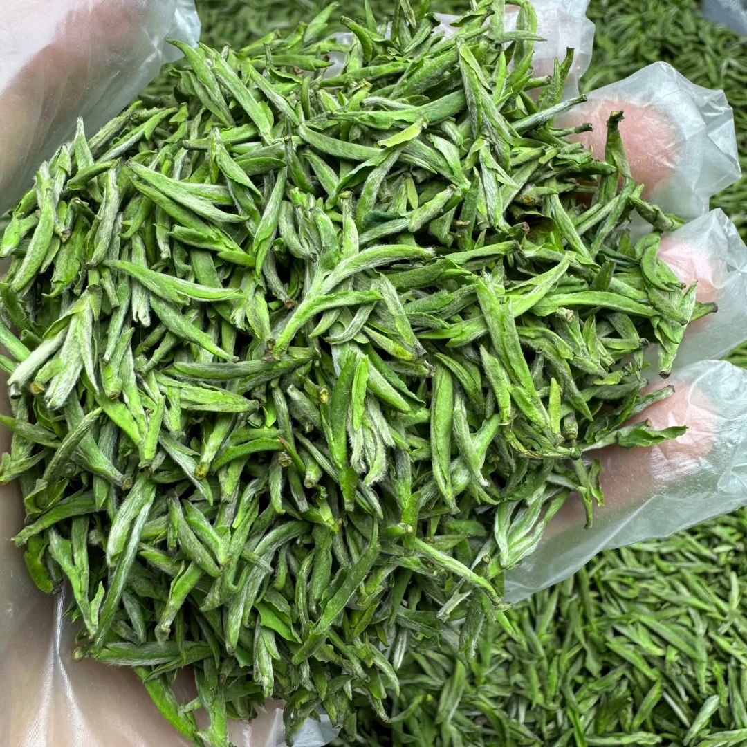 黄山毛峰2024年春茶兰花香耐泡浓香