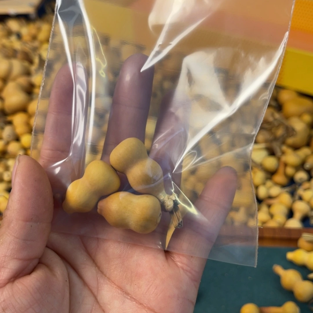 完****狼葫芦葫芦葫芦葫芦