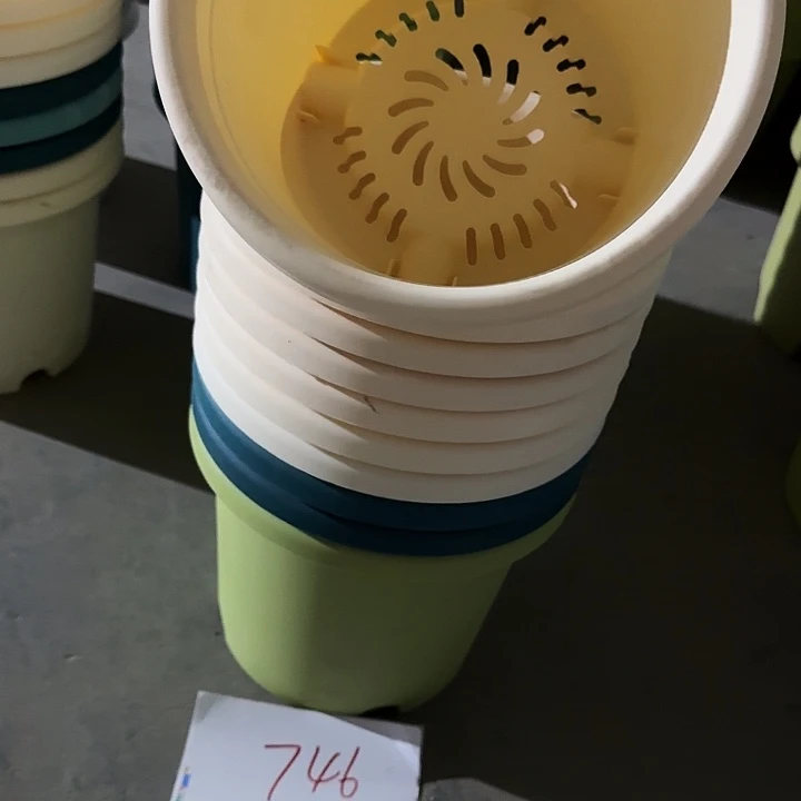 编号746微瑕口径21