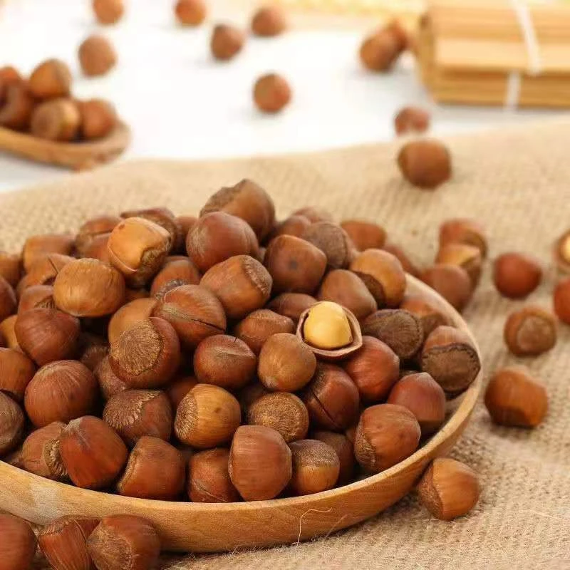 吉林长白山特产榛子顺丰包邮送夹子