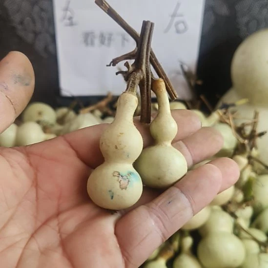 不退不换谢谢理解