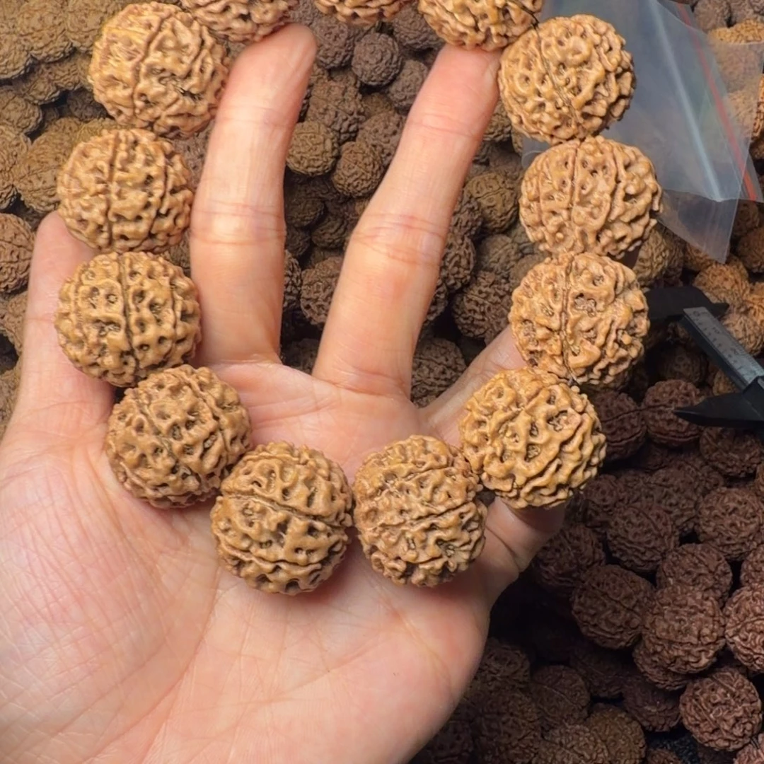 手串金刚菩提8瓣卡24尺，72号