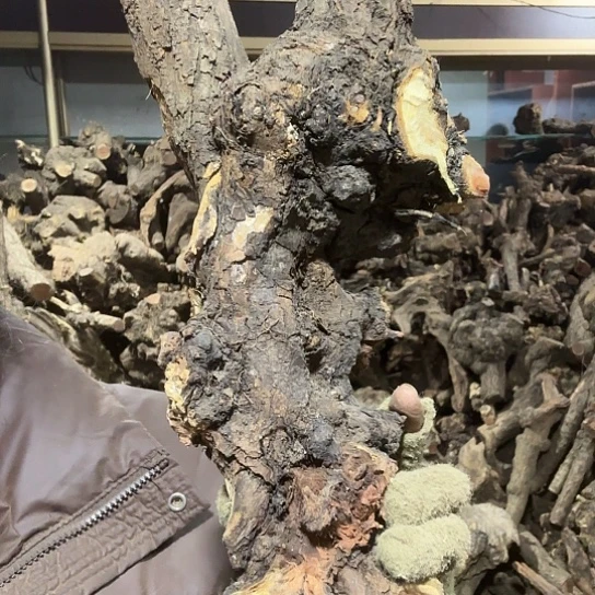 香榧木好***字火琉璃的故事毛料摆件