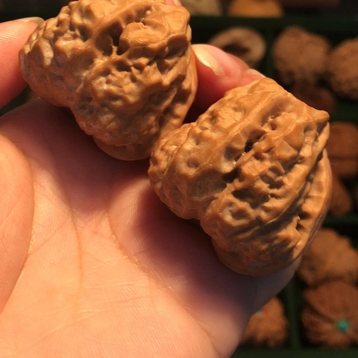 文玩核桃把件蛤蟆