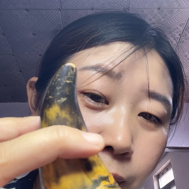 大果紫檀（缅甸花梨）