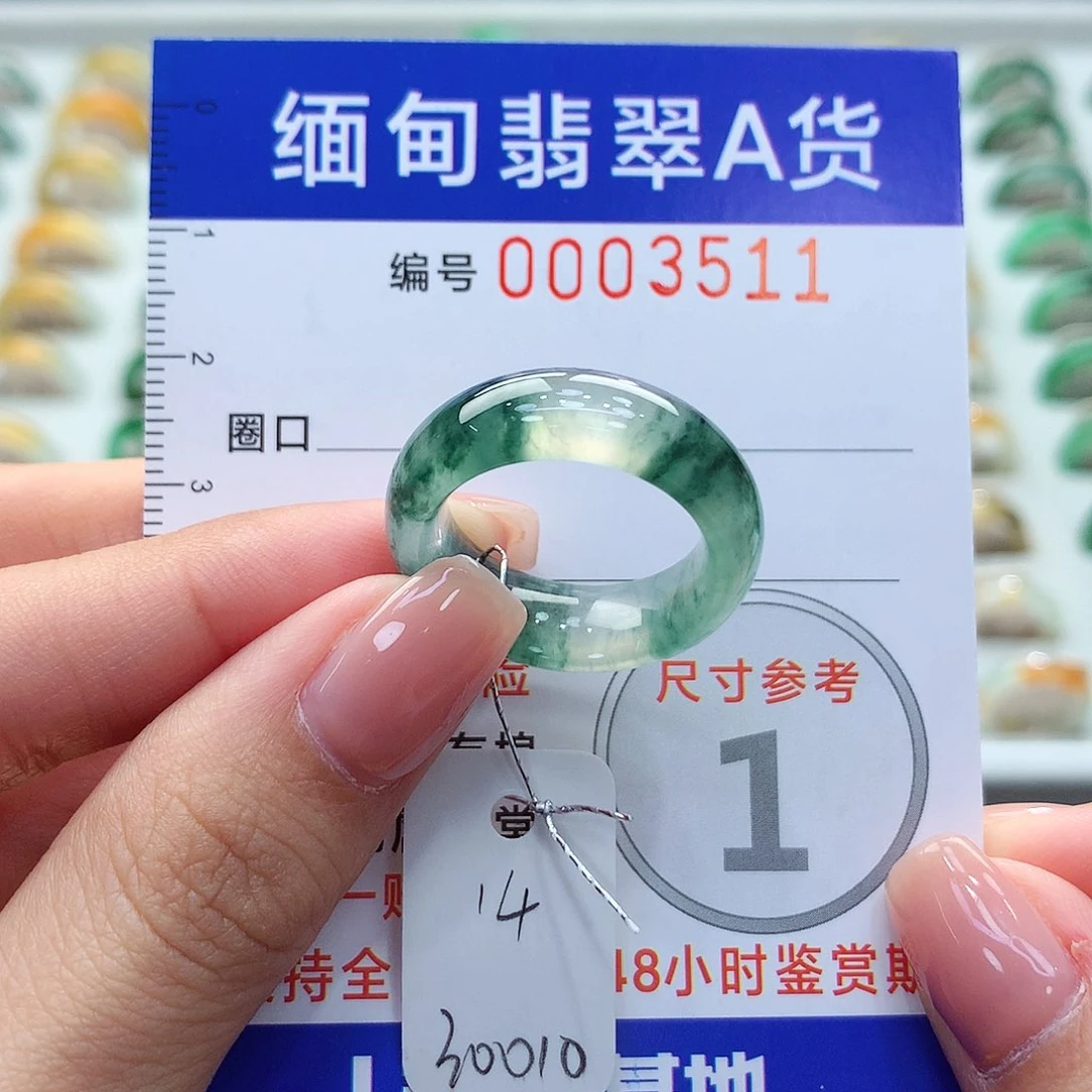 未镶嵌戒圈翡翠14号