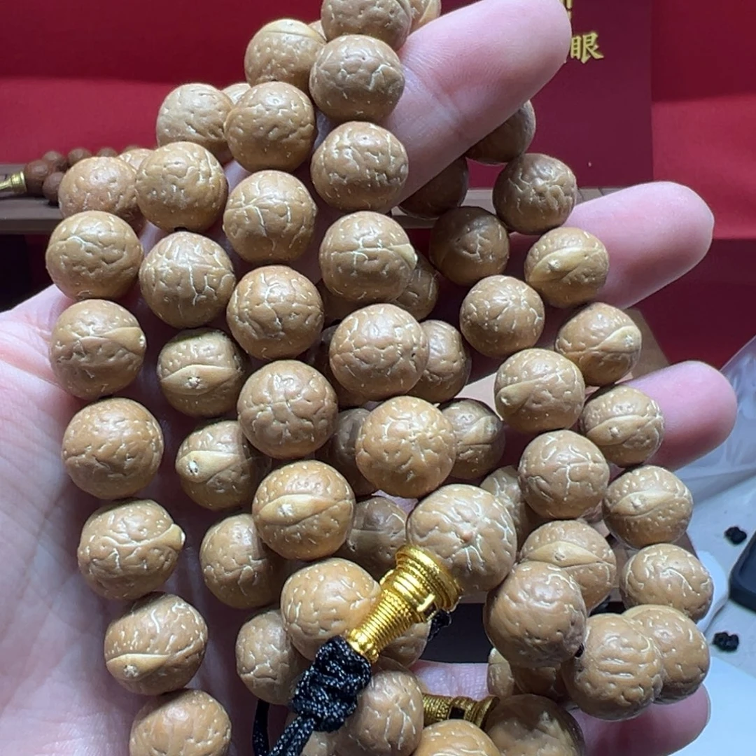 手串凤眼菩提14mm尼泊尔凤眼菩提单圈随机发一条