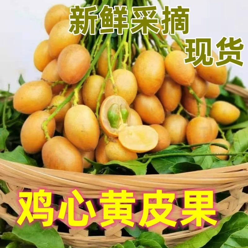 【顺丰】广东高州鸡心黄皮果酸甜/白沙纯甜黄皮大果孕妇水果现摘
