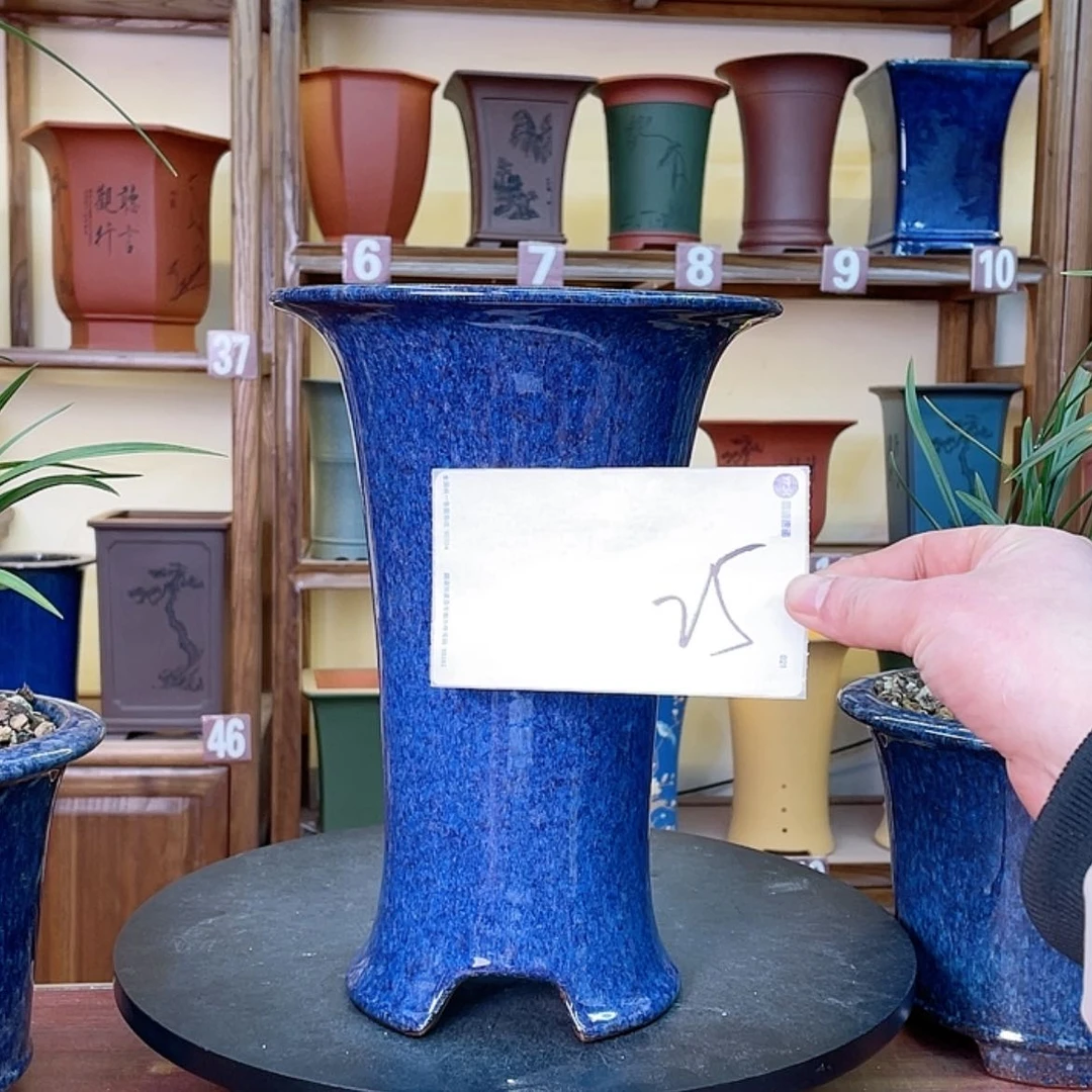 【闪购商品】紫砂花盆天*兰花643464649466464646