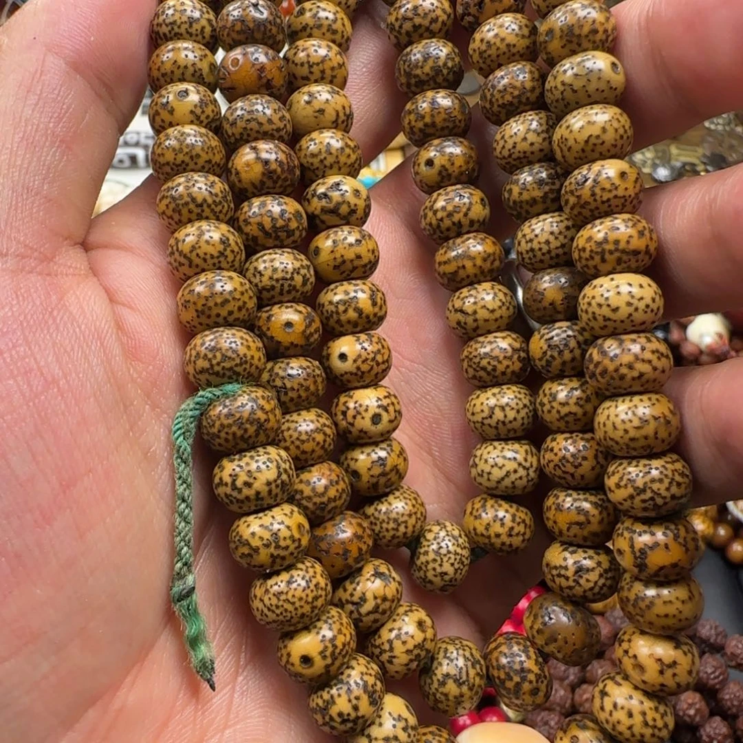 吊坠菩提根/象牙果