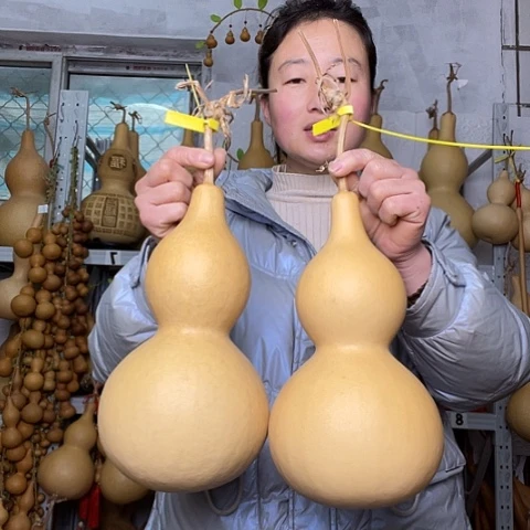 天然植物葫芦文玩