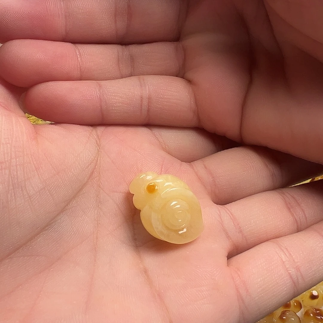 蜜蜡颈饰未镶嵌海螺小提溜（打孔不退换）