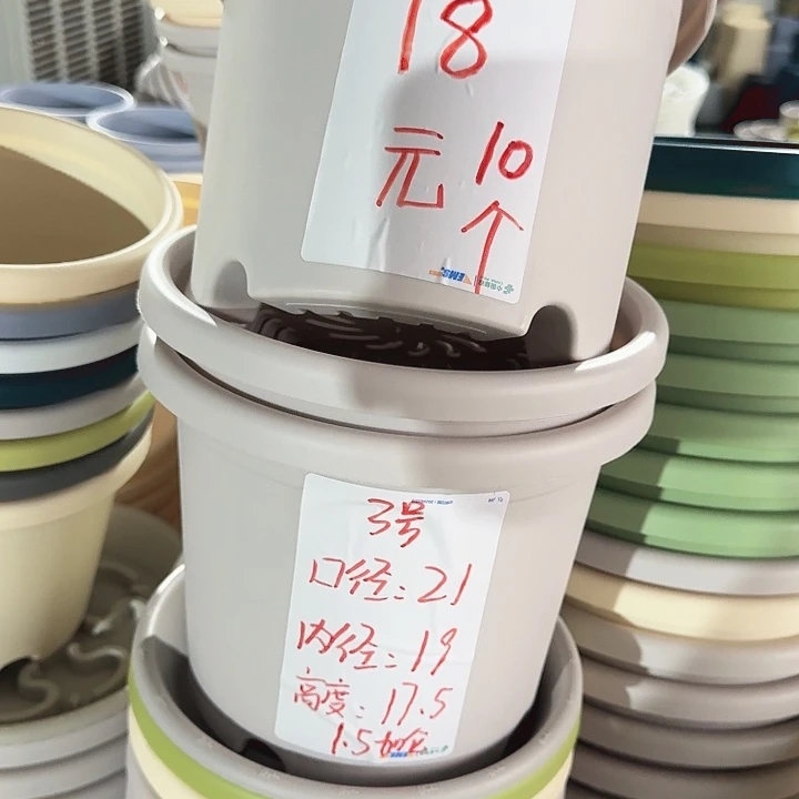 微瑕3#灰白10个无托