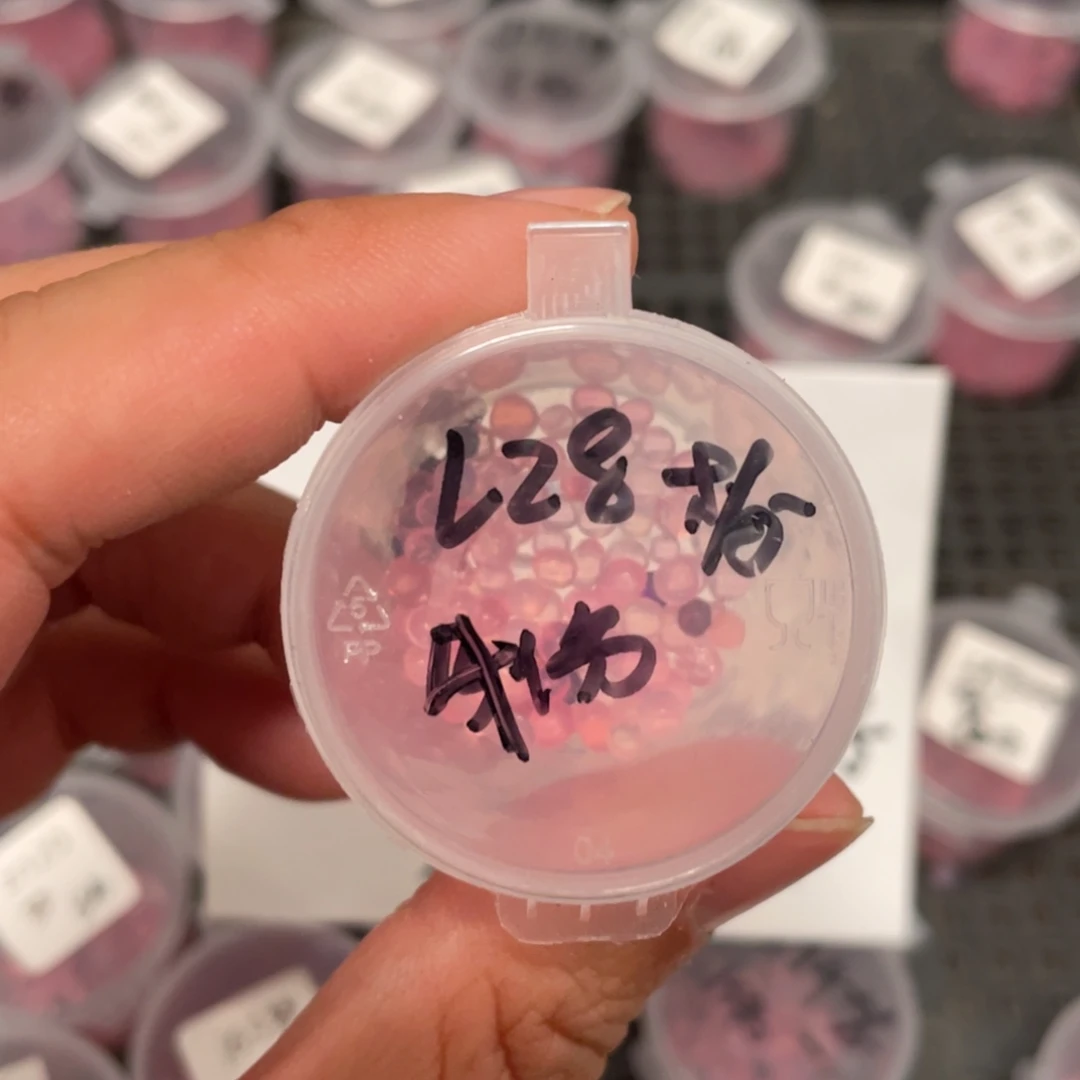 Lz8绿体珍妮✖️梦露20粒