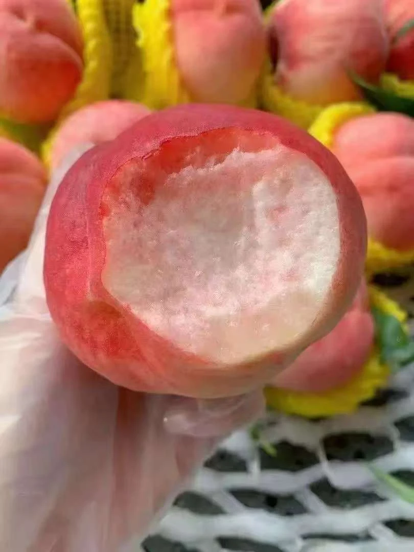 （极兔快递）脆甜桃子新鲜现摘鲜甜多汁5斤包邮