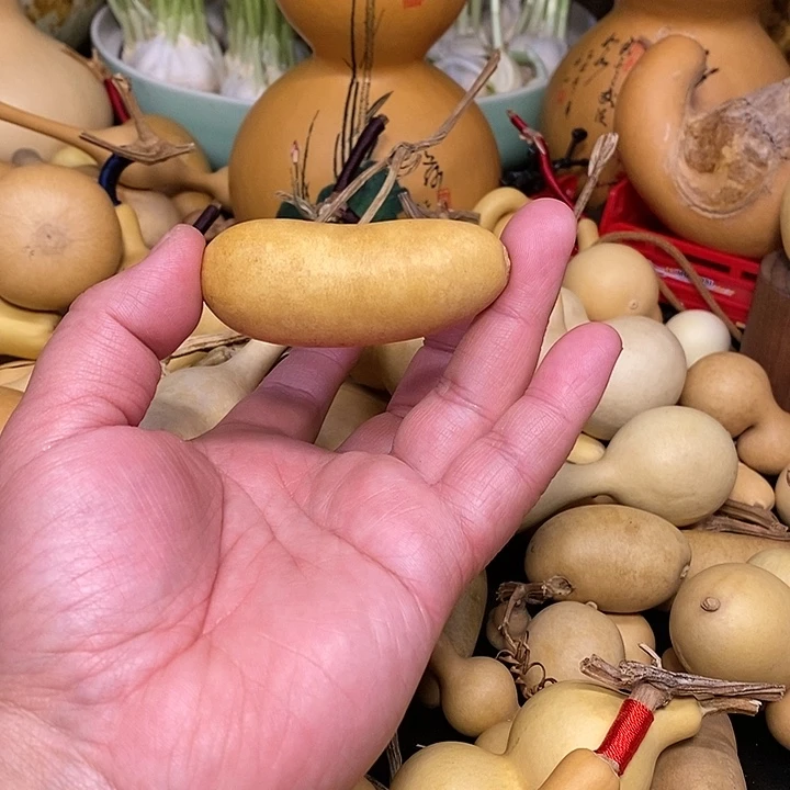 ?****?精品葫芦手把葫芦50