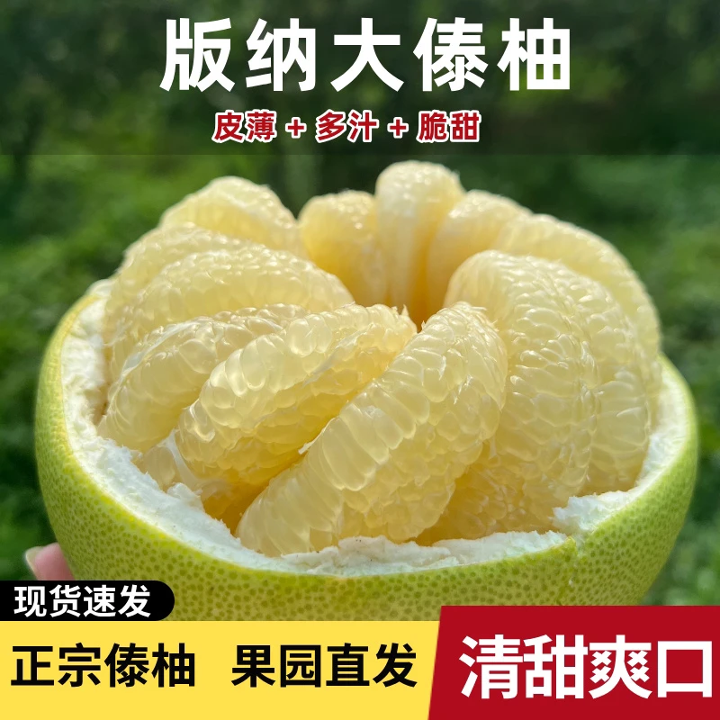 【正宗】西双版纳傣柚青柚蜜柚清甜新鲜果肉多汁脆嫩可口老少皆宜