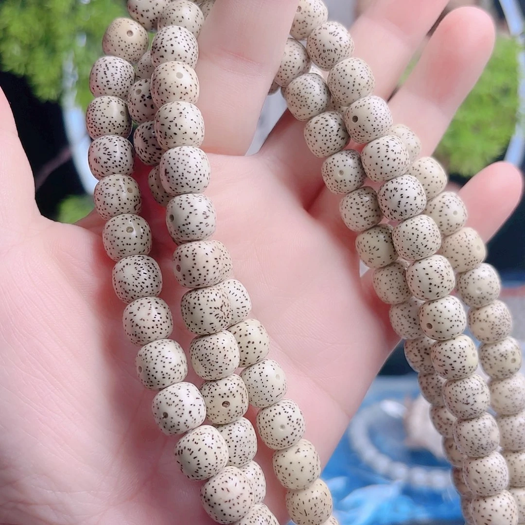 喃***子把件星月菩提星月