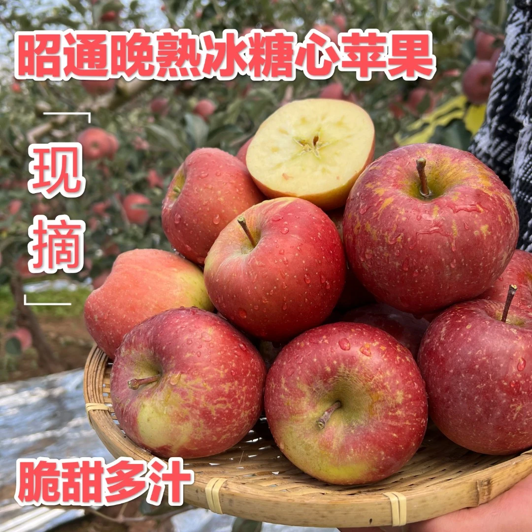 昭通晚熟冰糖心丑苹果精选鲜果5斤/6.8斤包邮