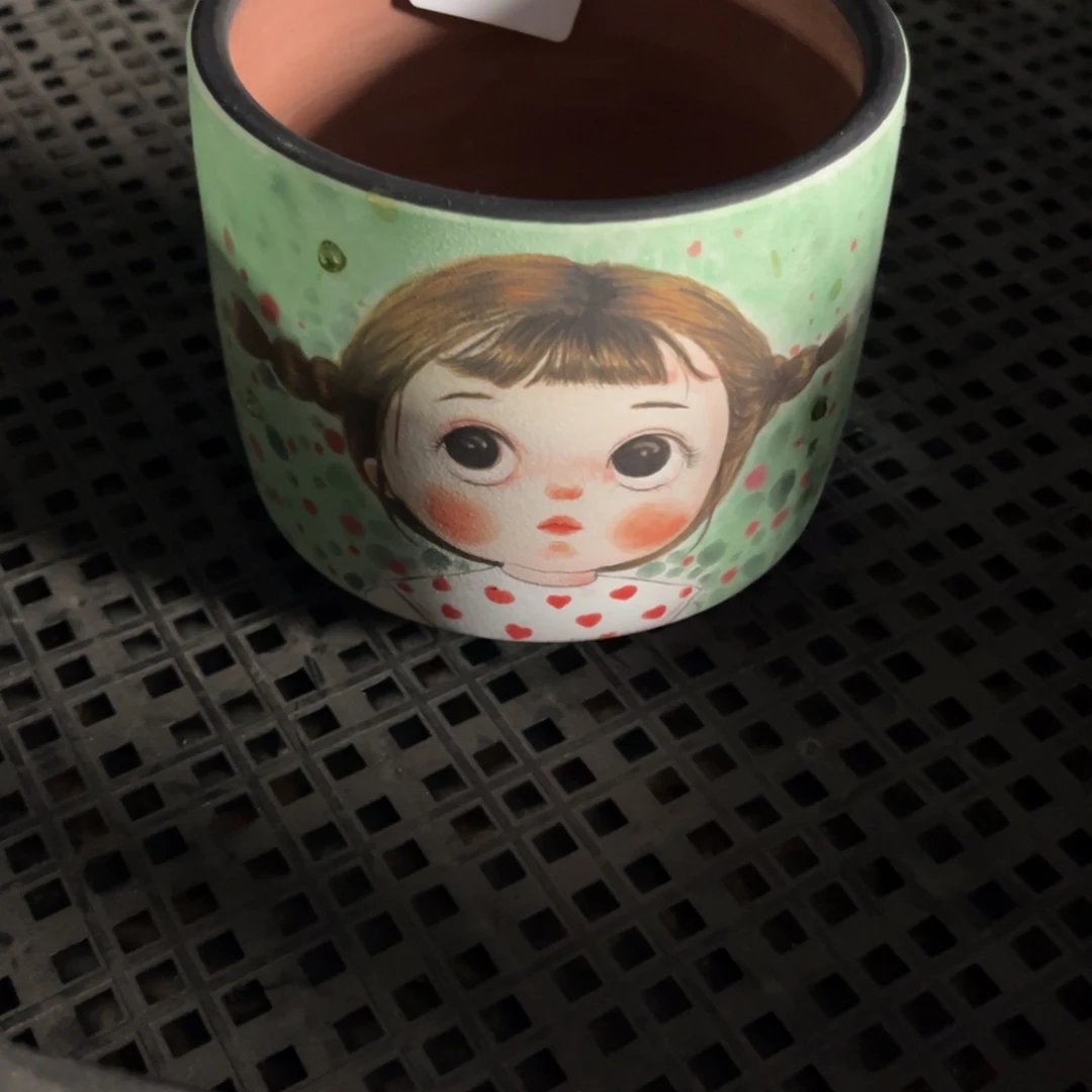 风***2691多肉花盆 88元1个