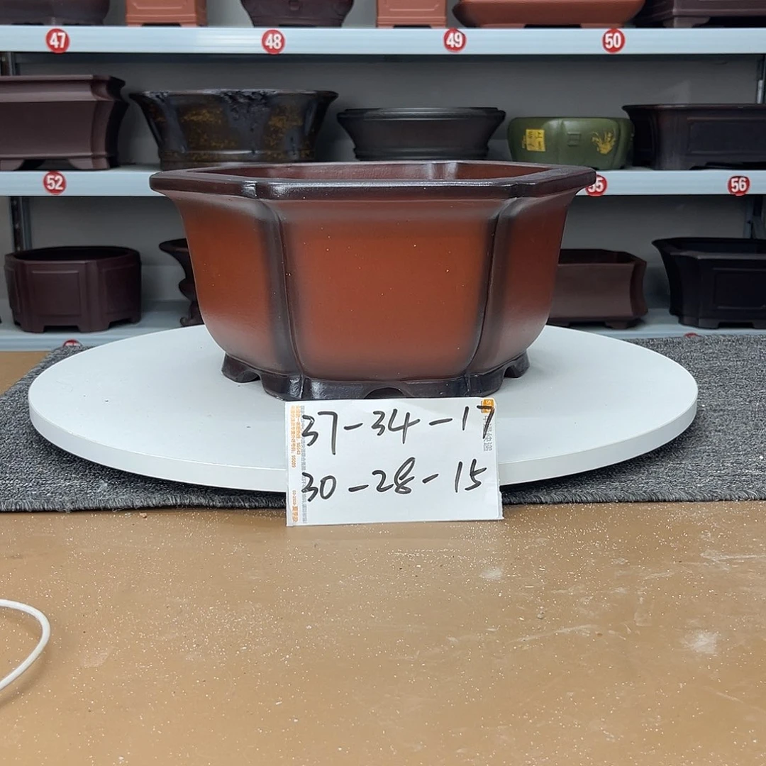 紫砂花盆早早起床