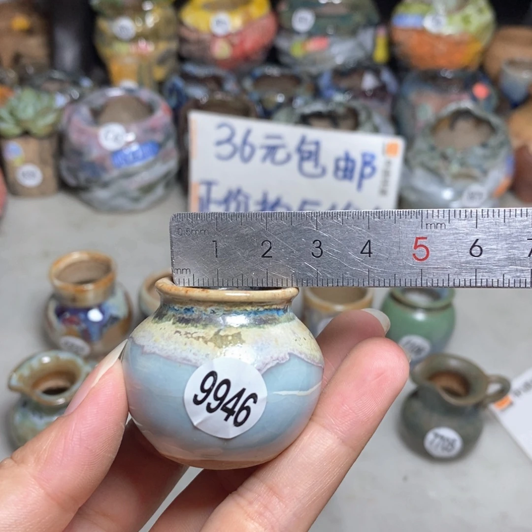 拍5送一个小礼物