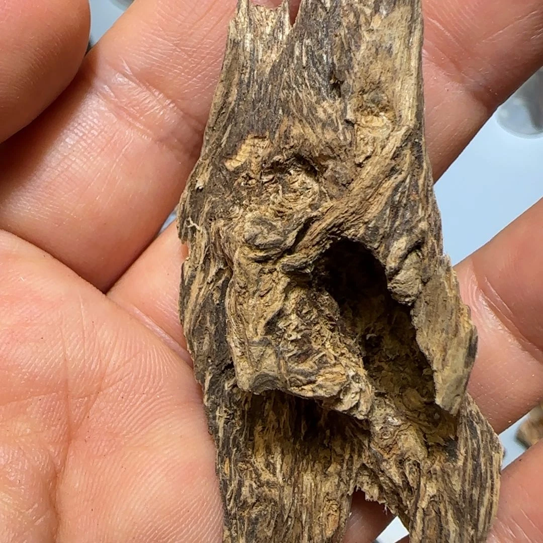 沉香碎屑沉香5.6克达拉干9分沉瘤疤